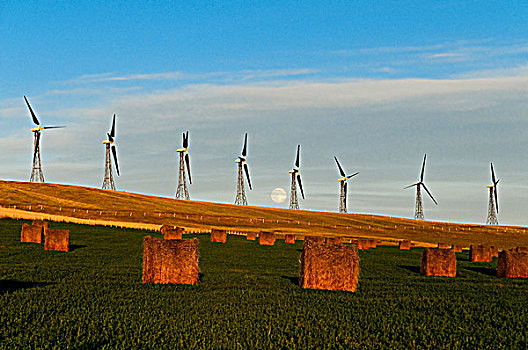 风轮机,干草包,犁垄,艾伯塔省,加拿大
