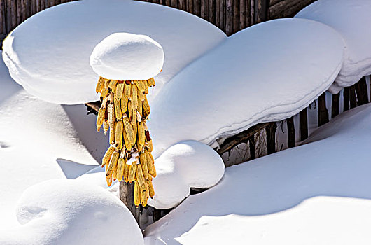 黑龙江雪乡风景