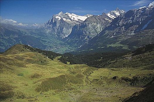 高山,草场,山峦,阿尔卑斯山,伯恩高地,瑞士,欧洲