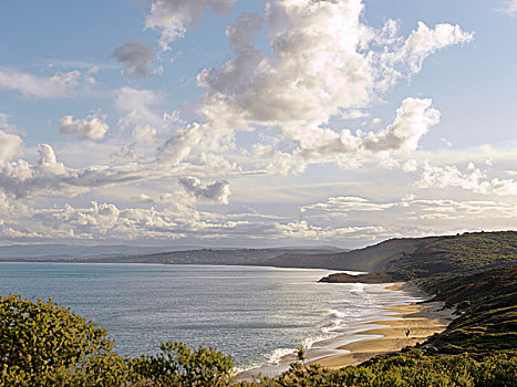俯视图,海滩,海洋,国家公园,澳大利亚