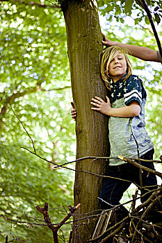 男孩,攀登,树