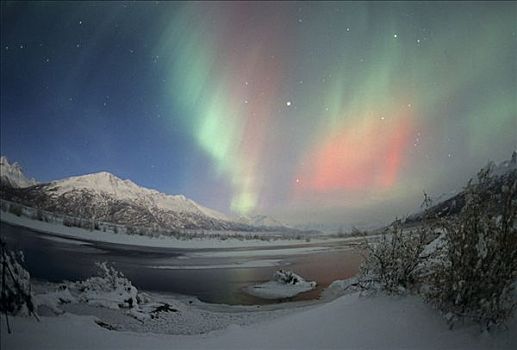 北极光,上方,河,楚加,阿拉斯加,冬天
