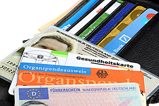 皮夹,多样,身份,文件,身份证件,驾照,健康,卡,信用卡,银行卡