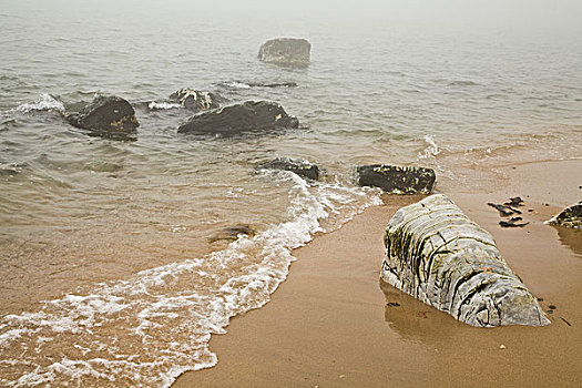 北戴河,沙滩,雾,天气,安静,石头,观赏石,海浪