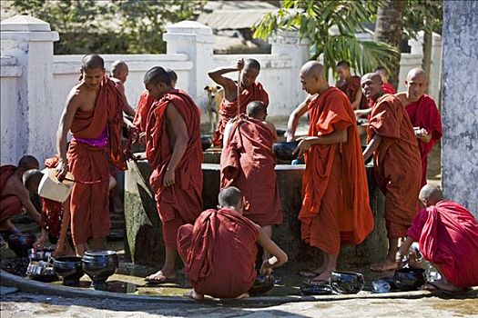 缅甸,若开邦,孩子,新信徒,僧侣,洗,器具,主餐,寺院,生活方式