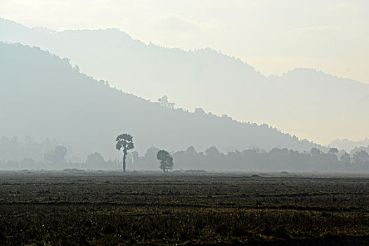 亚洲,缅甸