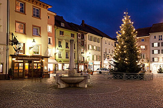 连栋房屋,圣诞树,坏,地区,莱茵河,黑森林,巴登符腾堡,德国,欧洲