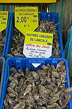 牡蛎,商业,展示,港口,布列塔尼半岛,法国