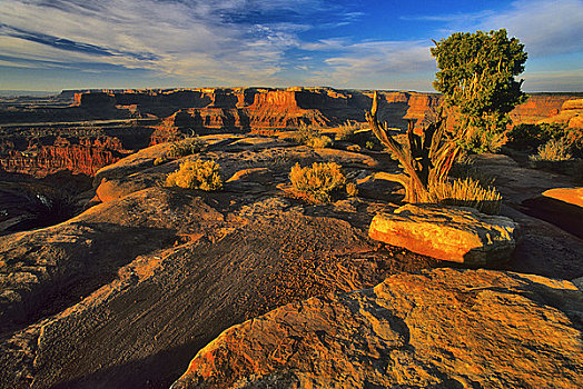 岩石构造,峡谷,科罗拉多河,死,马,州立公园,犹他,美国