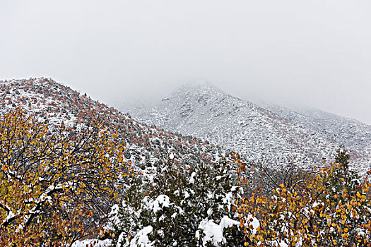 雪山