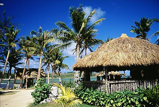 关岛,文化,乡村,草,小屋,海滩,绿色植物,棕榈树