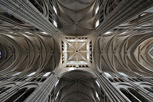 拱顶,哥特式,大教堂,兰斯,法国,欧洲