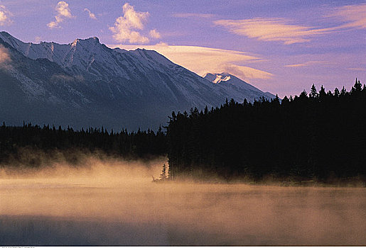雾,上方,湖,树,山峦,班芙国家公园,艾伯塔省,加拿大