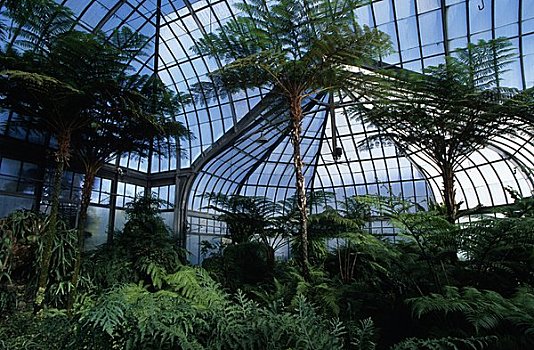 植物,温室,岛,公园,底特律,密歇根,美国