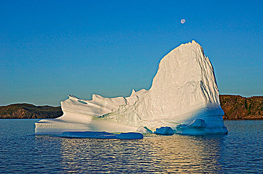 冰山,黎明,漂浮,湾,东方,纽芬兰,拉布拉多犬,加拿大