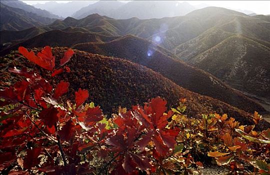 2001,河南省西部伏牛山