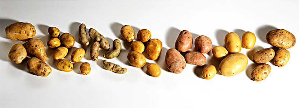 多样,品种,土豆
