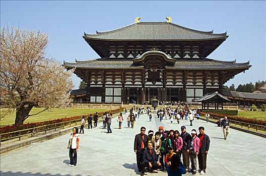 日本,本州,奈良,城市,游客,头部