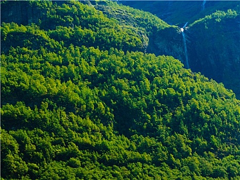 漂亮,瀑布,挪威,峡湾