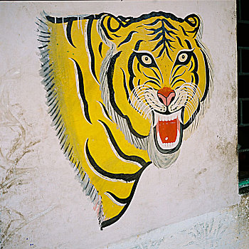虎,墙壁