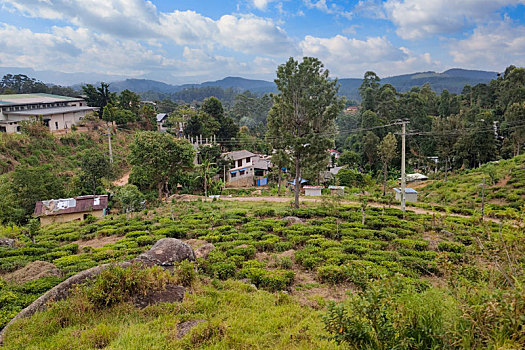 中部山区风光