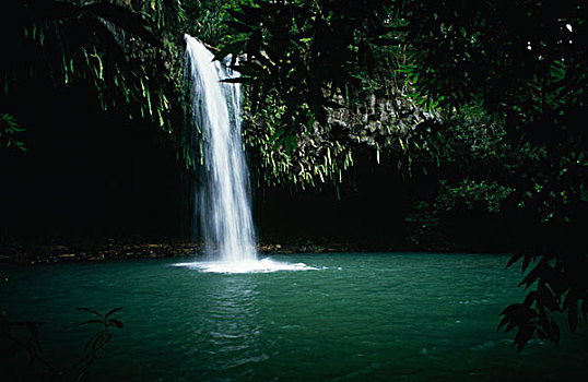 瀑布,树林,双子瀑布,毛伊岛,夏威夷,美国
