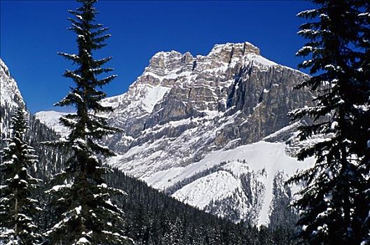 全景,积雪,山峦,顶峰,幽鹤国家公园,不列颠哥伦比亚省,加拿大