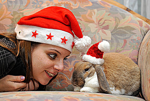 女孩,英国人,兔豚鼠属,圣诞帽