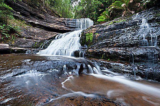 女士,瀑布,山,地点,国家公园,塔斯马尼亚,澳大利亚