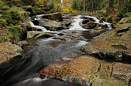 瀑布,博得,河,秋天,靠近,布劳恩拉格,下萨克森,德国,欧洲