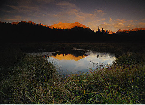水塘,日落,省立公园,艾伯塔省,加拿大