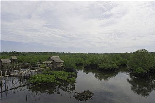 岛屿,棉兰老岛,菲律宾