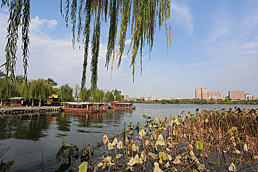 湖面风景