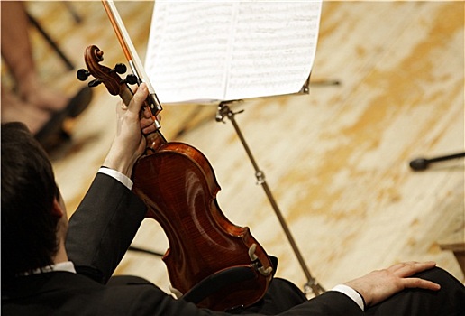 小提琴手,古典,音乐会,音乐