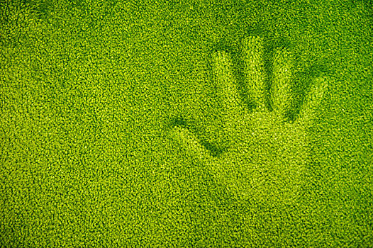 手印,绿色,地毯