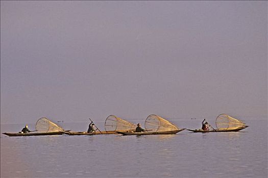 缅甸,茵莱湖,四个,捕鱼者,独木舟,困境