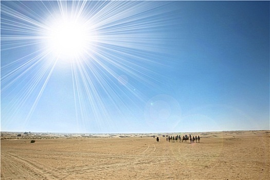 撒哈拉沙漠,太阳