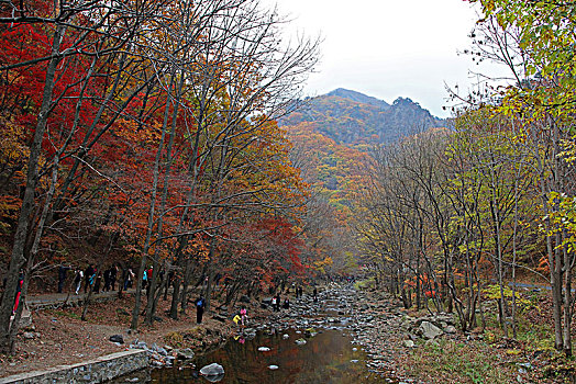 关门山,大石湖,秋天,红叶,晚秋,枫叶,绚丽,五彩缤纷,自然,颜色