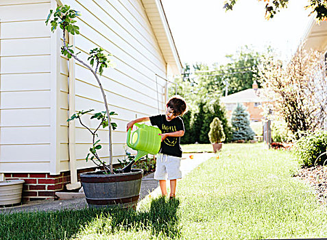 男孩,孩子,站立,花园,浇水,植物,容器