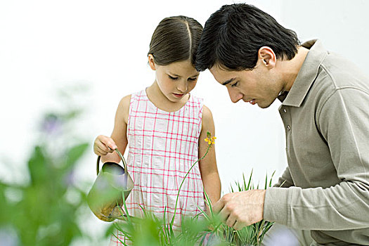 父亲,女孩,看,植物,一起,拿着,洒水壶