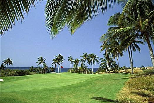 夏威夷,夏威夷大岛,柯哈拉海岸,莫纳克亚,高尔夫球场,9号洞