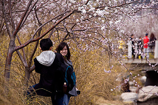 北京植物园春光