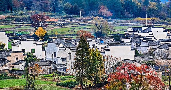 安徽省黟县卢村古民居乡村建筑景观