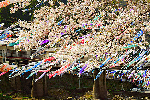 温泉,鲤帜,节日,熊本,日本