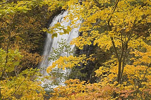 瀑布,北海道,日本