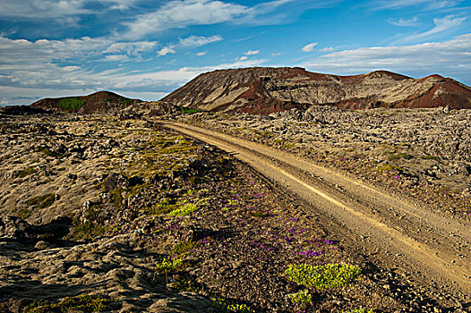 道路,熔岩原,半岛,斯奈山半岛,冰岛,欧洲