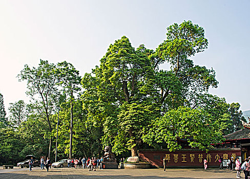 峨嵋山报国寺