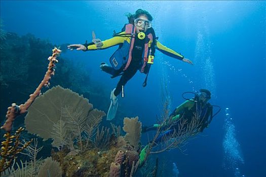 深潜,加勒比海,洪都拉斯,中美洲