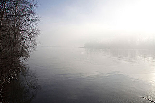 雾,弗雷泽河,港口