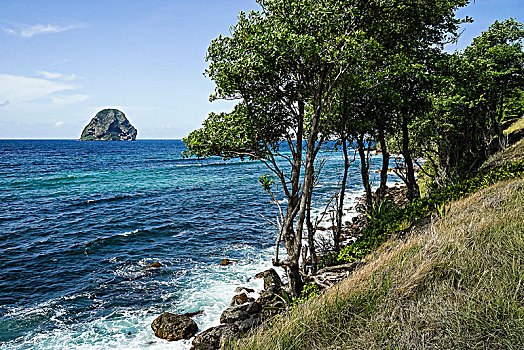 马提尼克,法国